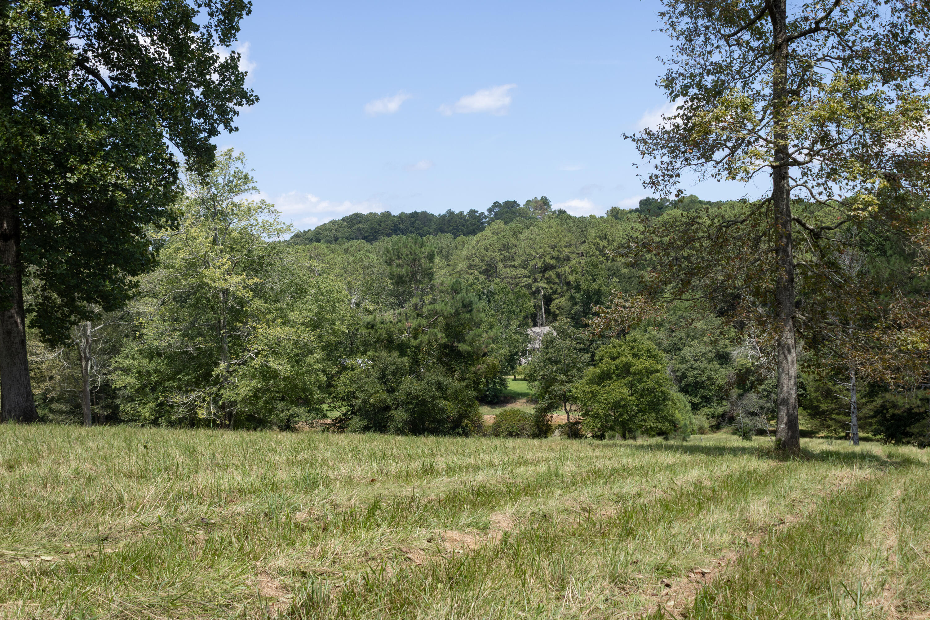 4412 Highway S 27 Property Photo 11