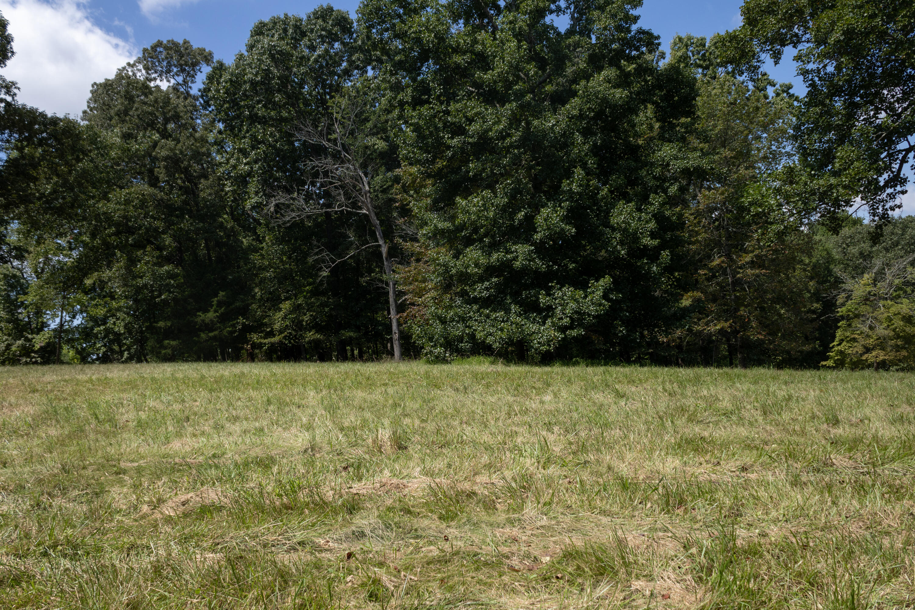 4412 Highway S 27 Property Photo 12
