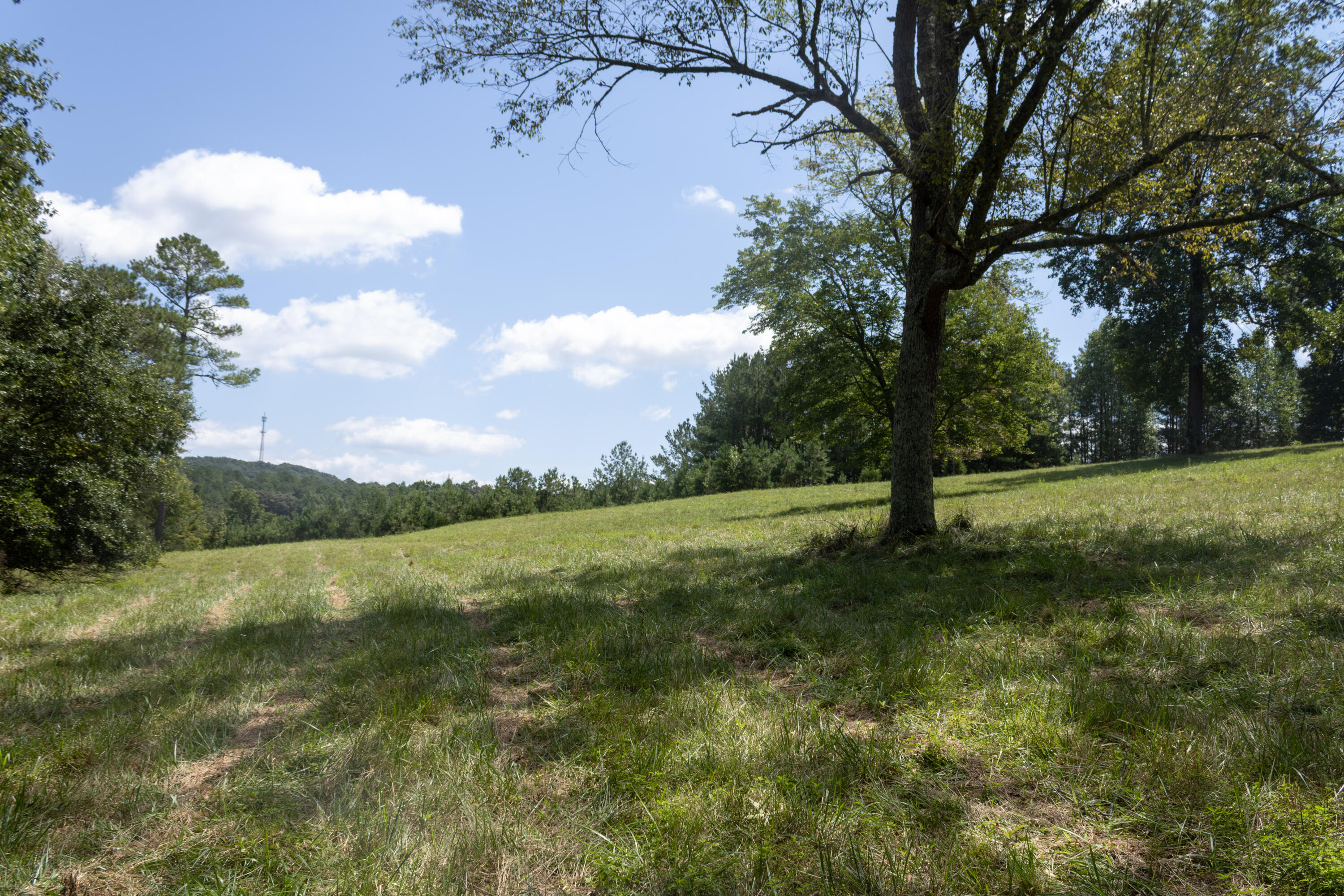 4412 Highway S 27 Property Photo 13