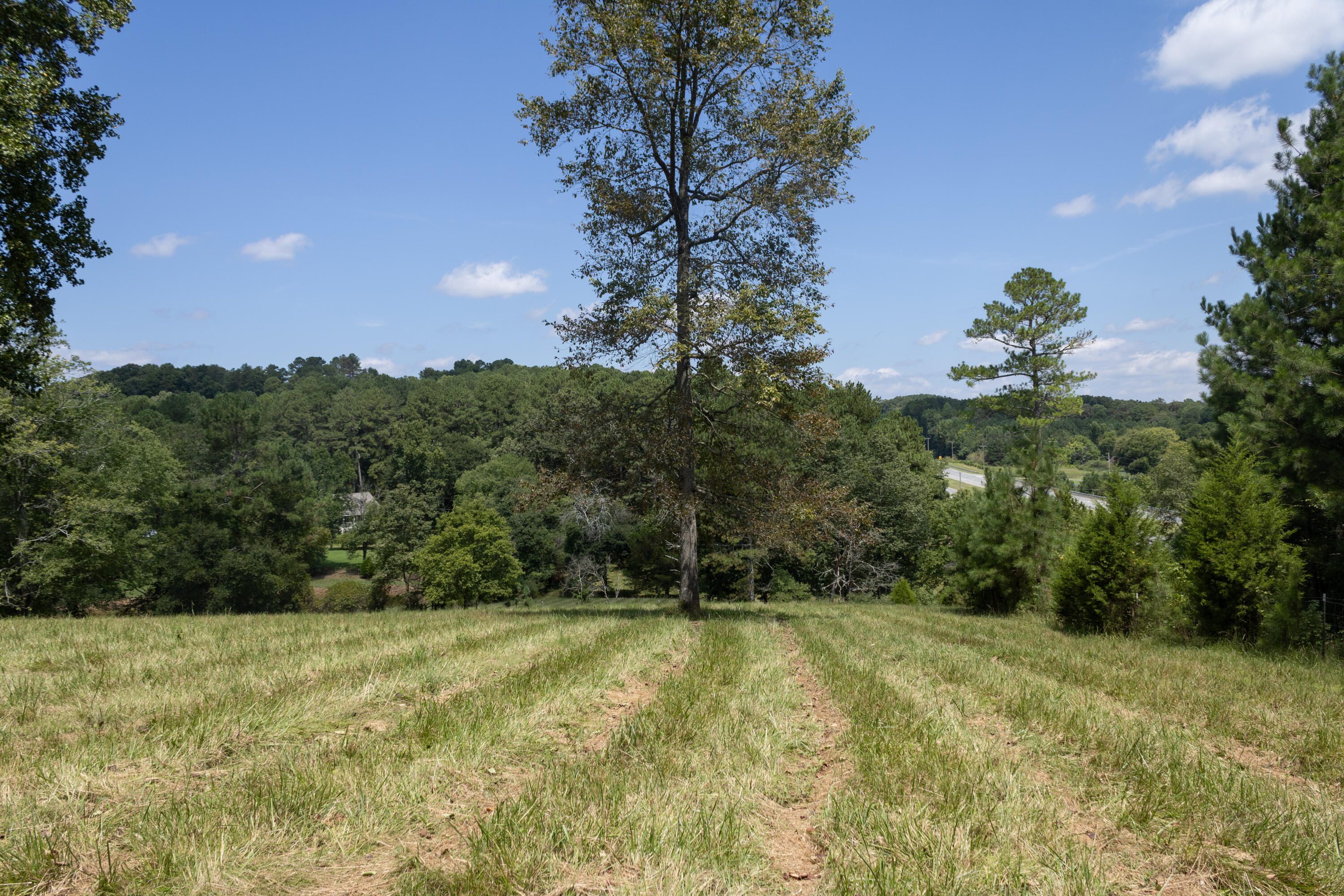 4412 Highway S 27 Property Photo 14