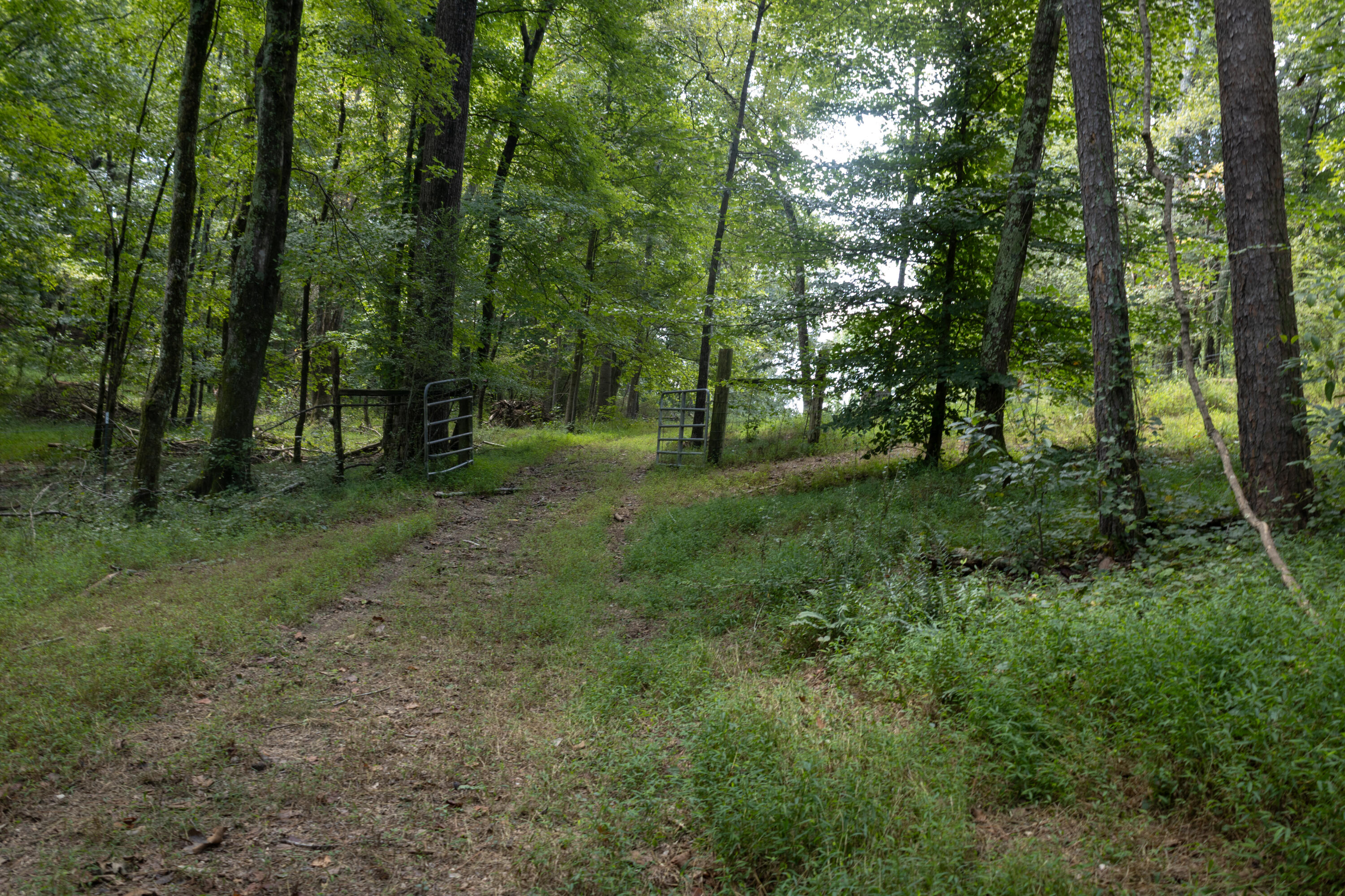 4412 Highway S 27 Property Photo 21
