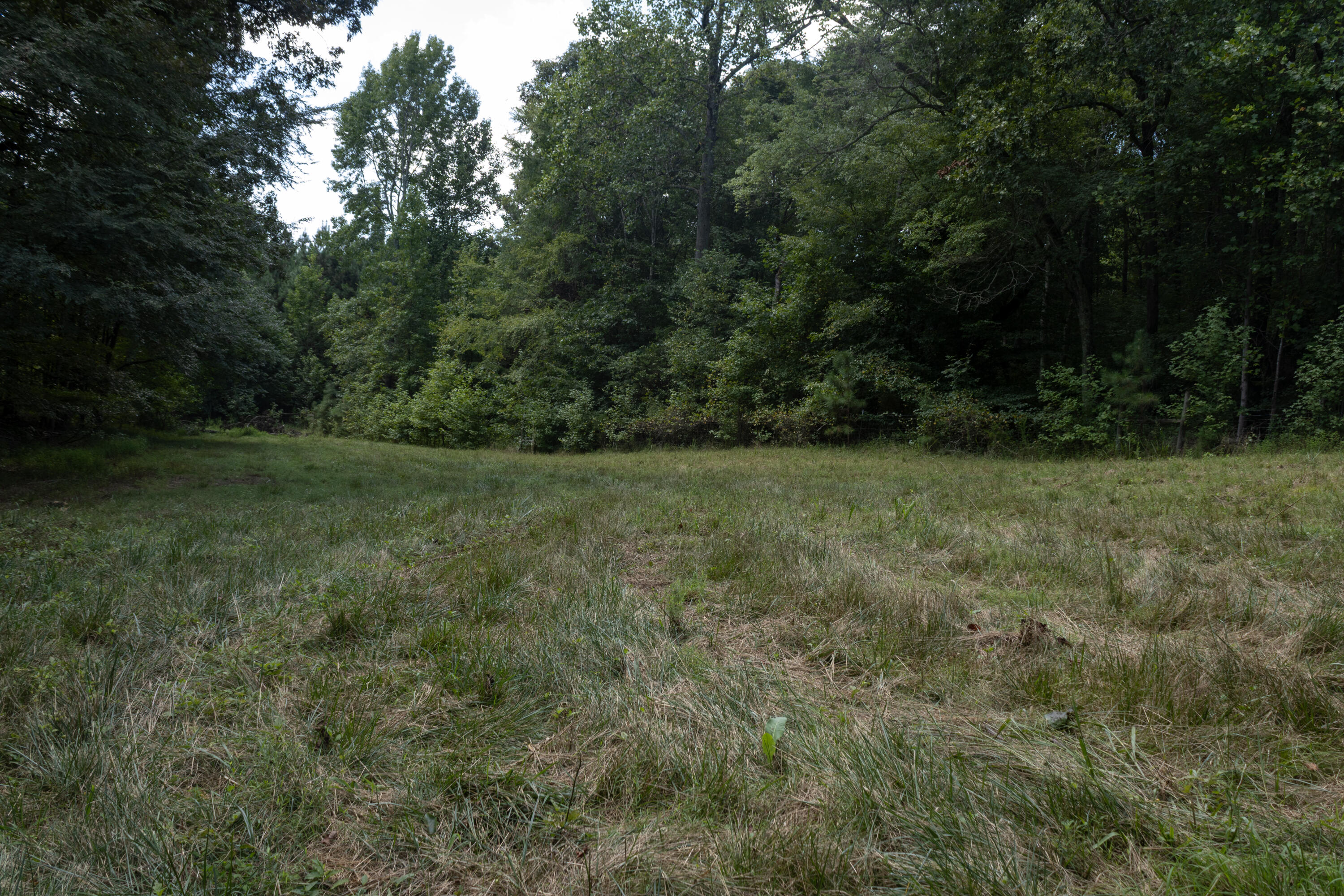 4412 Highway S 27 Property Photo 22