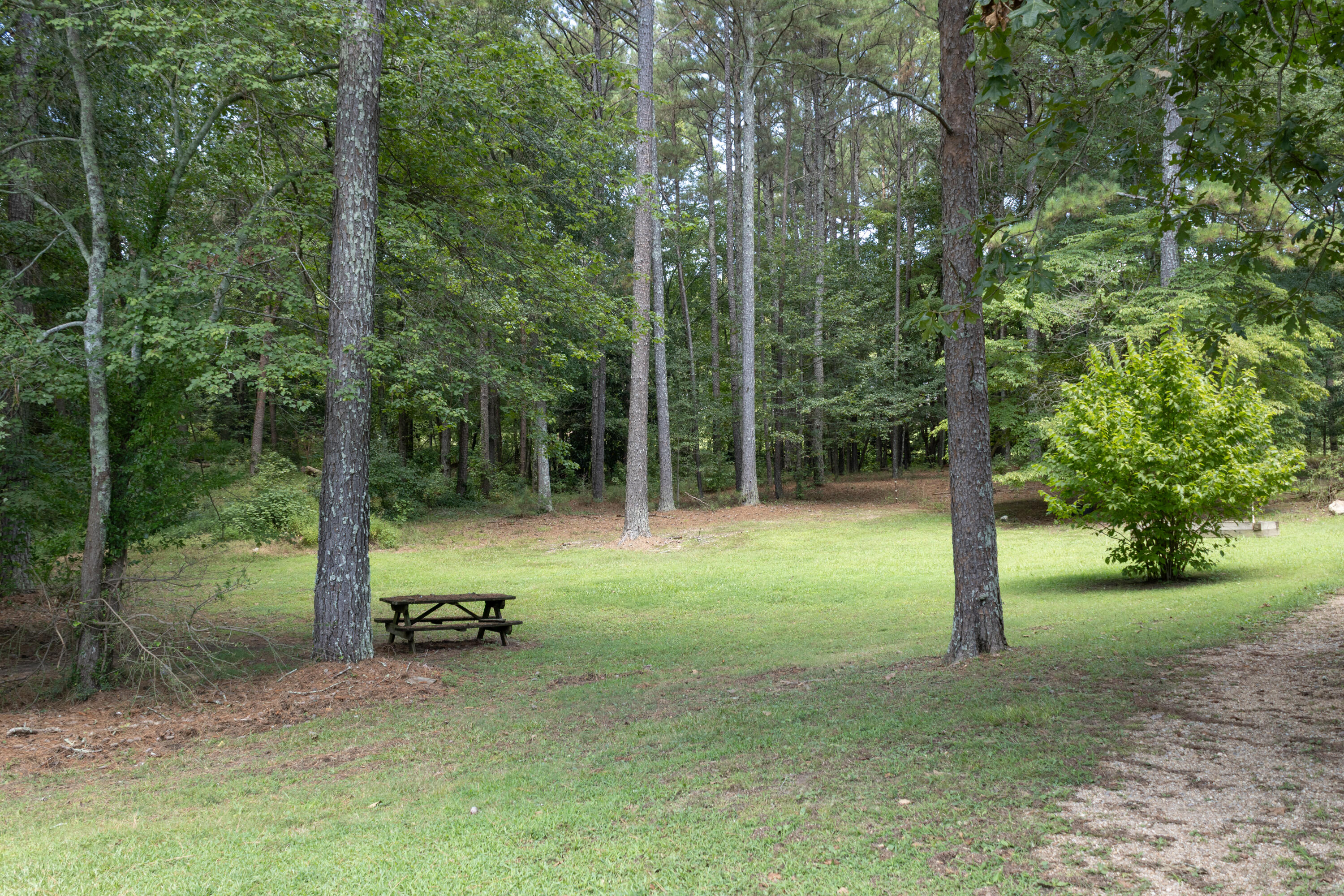 4412 Highway S 27 Property Photo 23