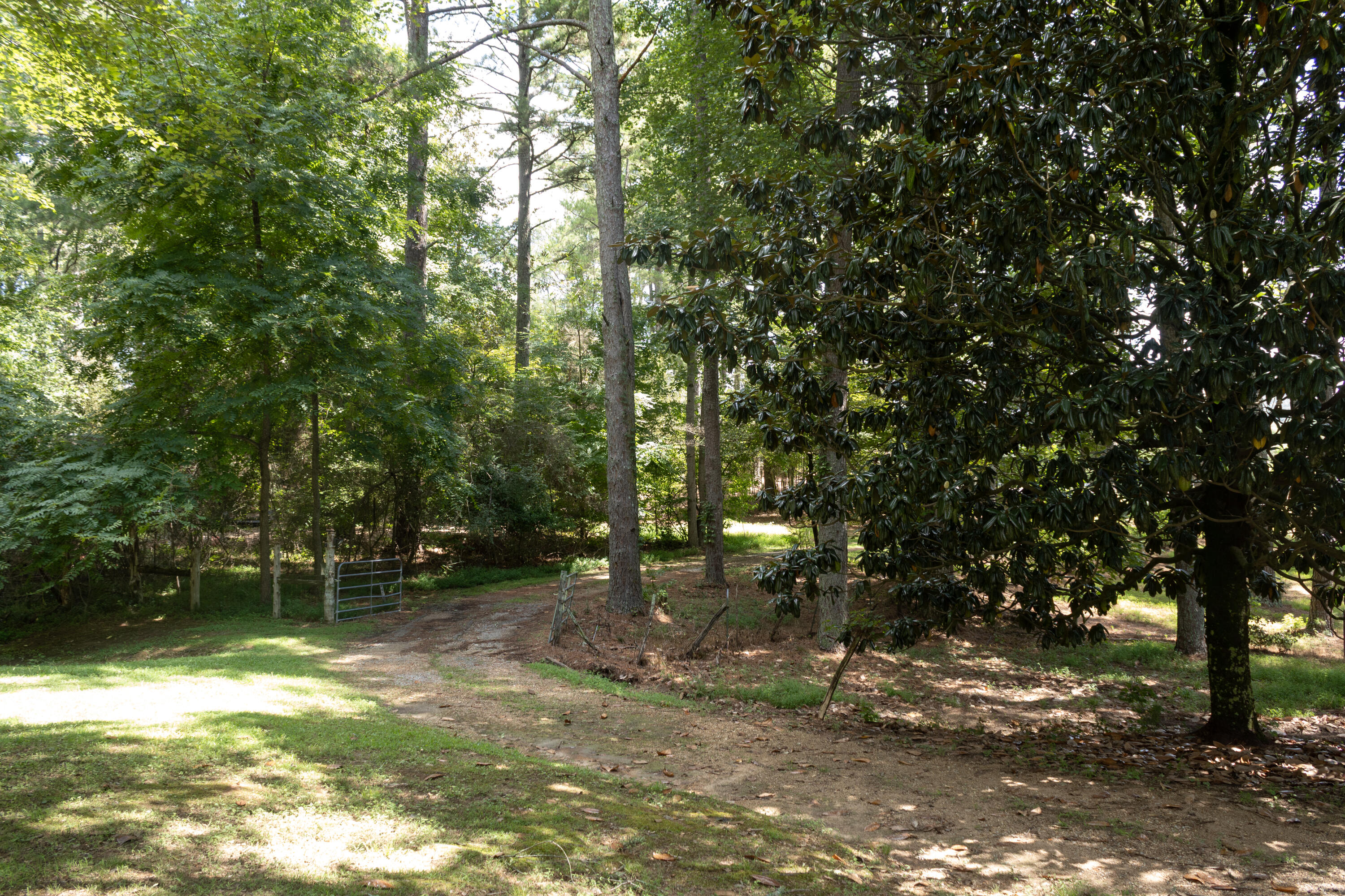 4412 Highway S 27 Property Photo 24