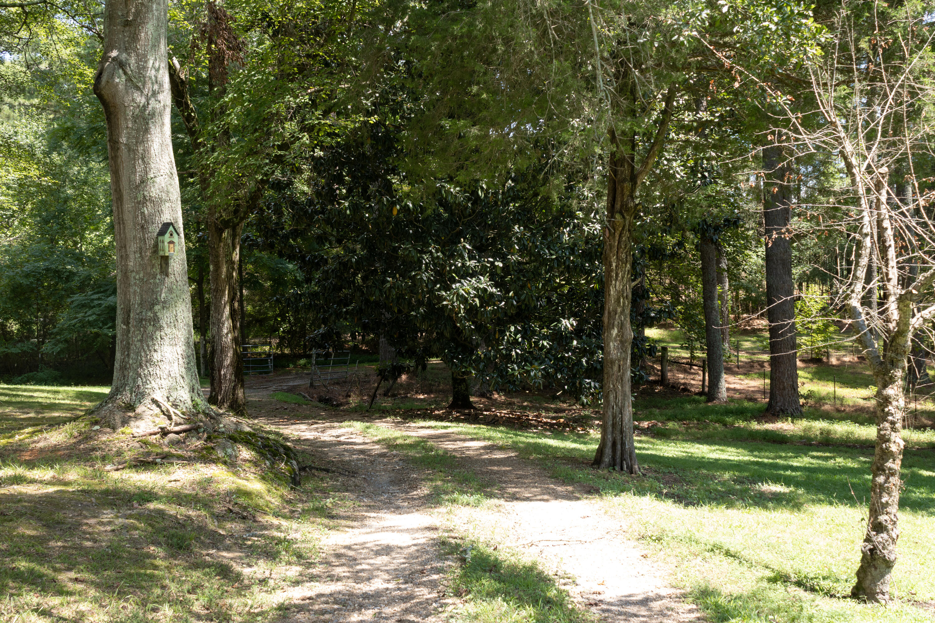 4412 Highway S 27 Property Photo 53