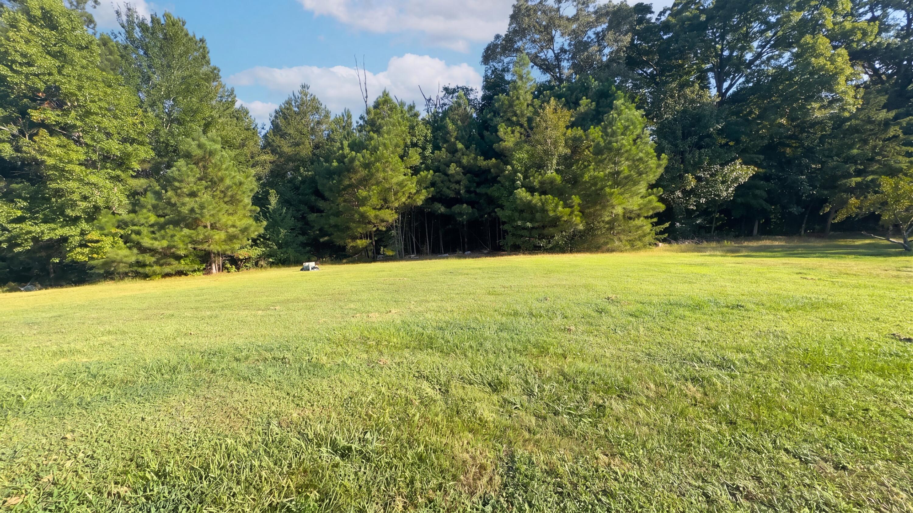 165 Pinewood Drive Property Photo 25