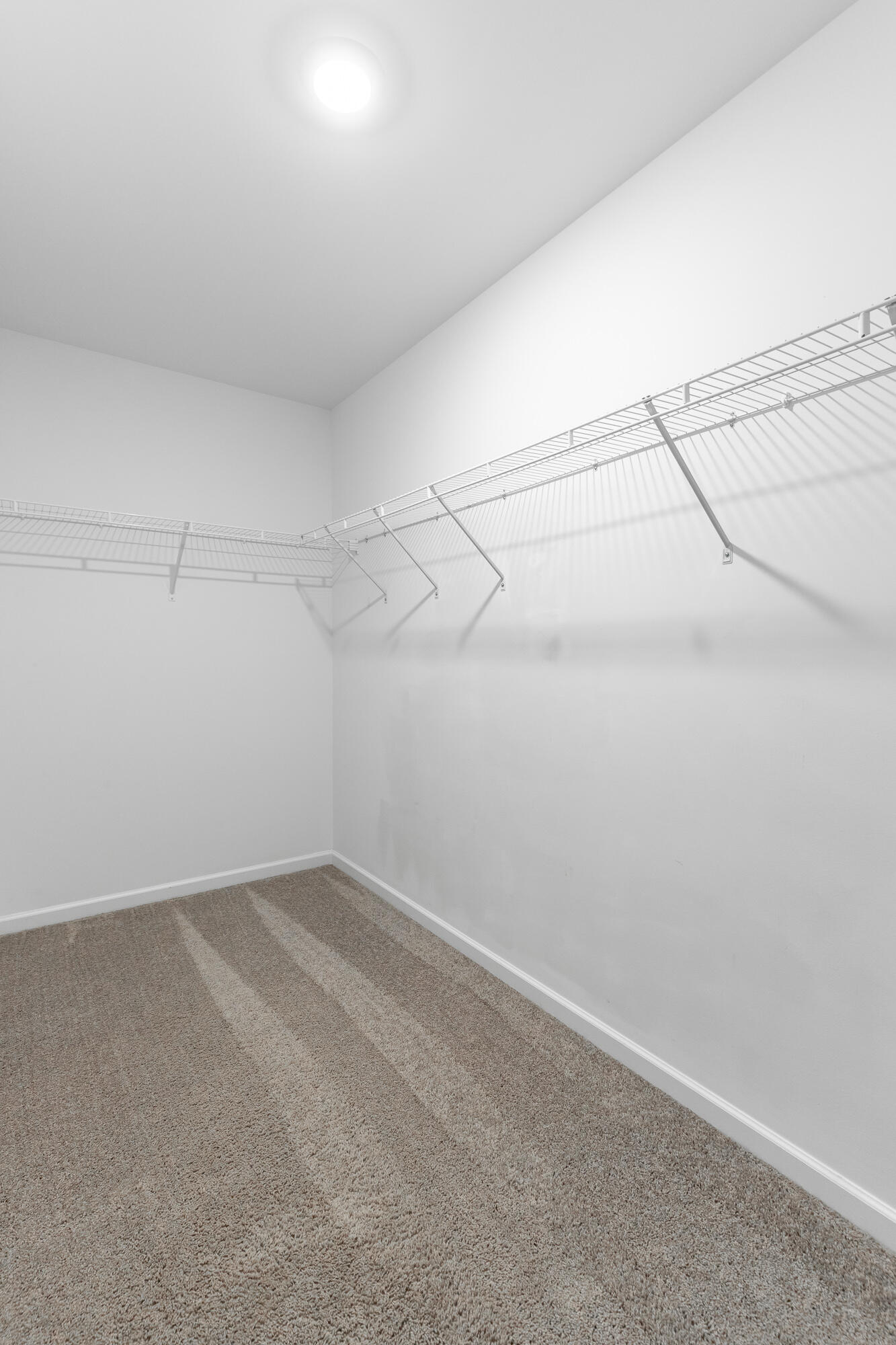 6770 Dharma Loop Property Photo 36