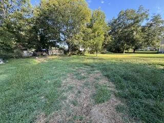 406 Hall Street Property Photo 10