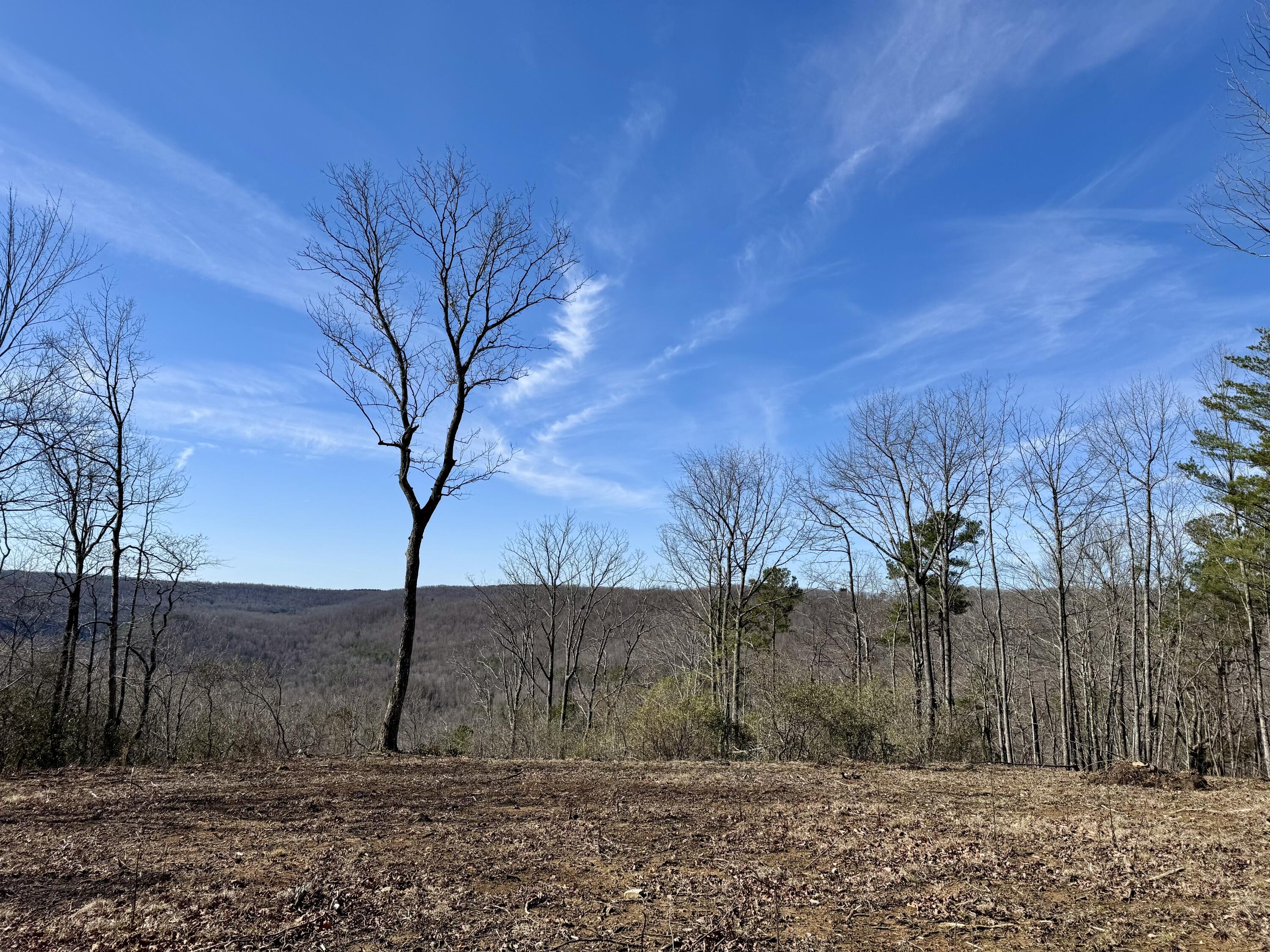 00 Hobbstown Road Property Photo 1