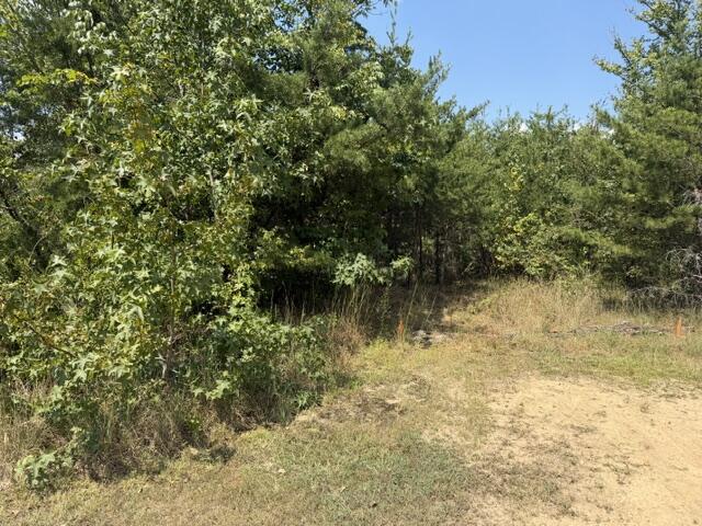 152 County Road 971 Property Photo 2