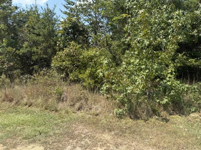 152 County Road 971 Property Photo 3