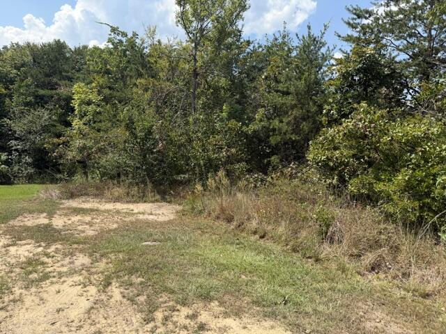 152 County Road 971 Property Photo 4