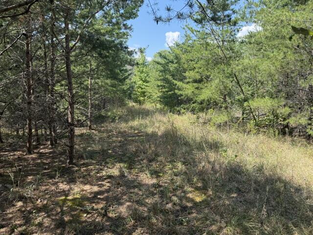 152 County Road 971 Property Photo 5