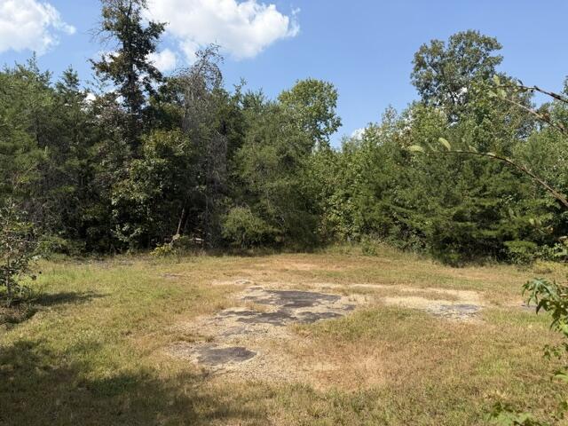 152 County Road 971 Property Photo 6