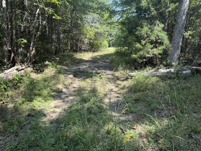 152 County Road 971 Property Photo 7