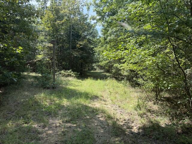 152 County Road 971 Property Photo 8