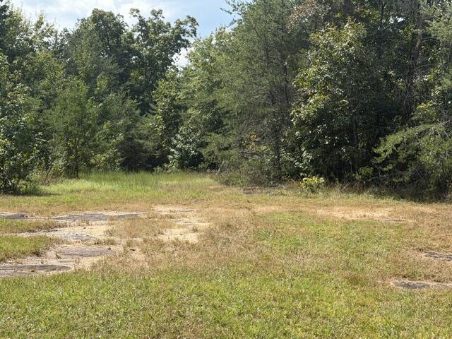 152 County Road 971 Property Photo 10