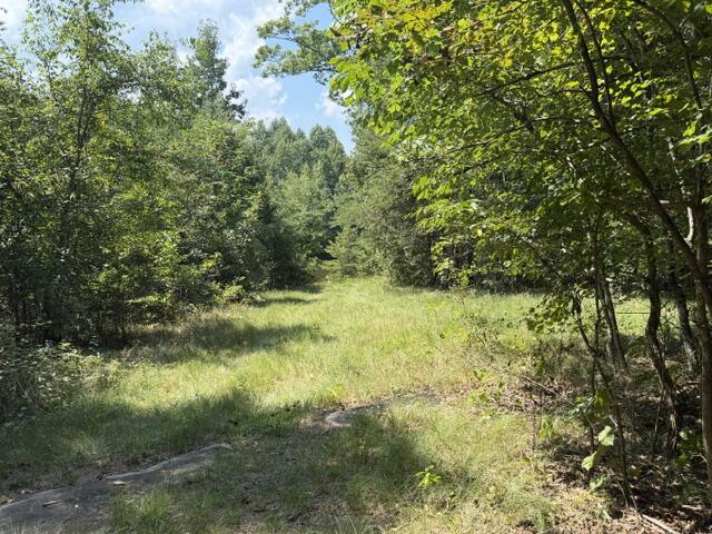 152 County Road 971 Property Photo 11