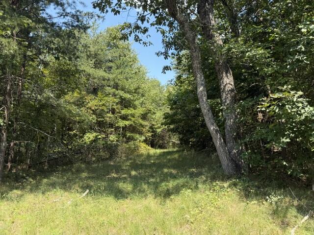 152 County Road 971 Property Photo 12
