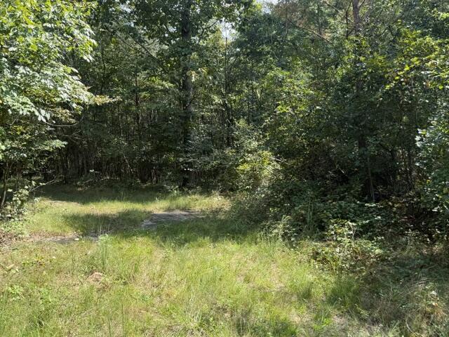 152 County Road 971 Property Photo 13
