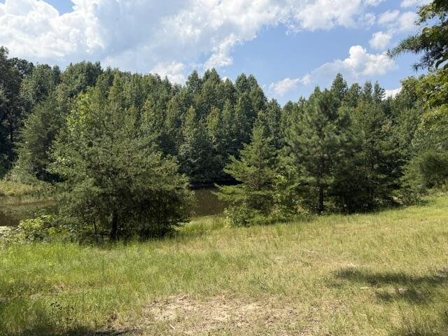 152 County Road 971 Property Photo 14