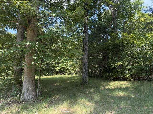 152 County Road 971 Property Photo 15