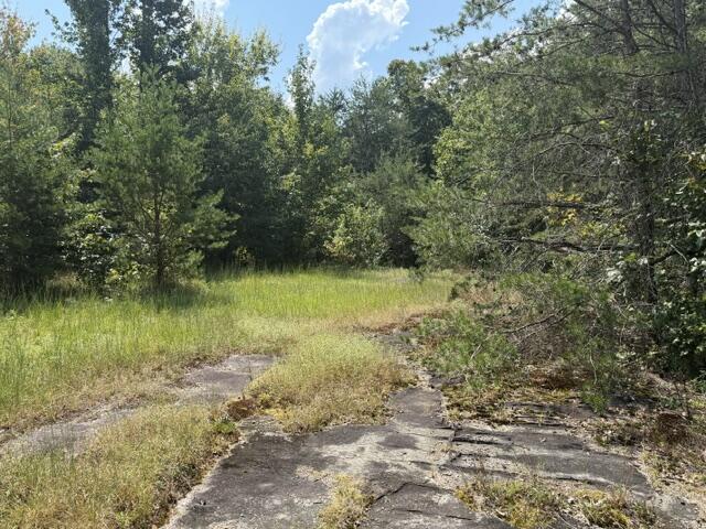 152 County Road 971 Property Photo 17