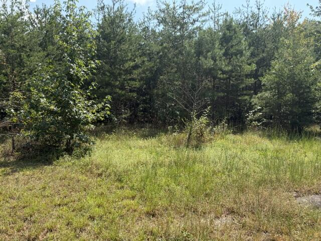 152 County Road 971 Property Photo 18
