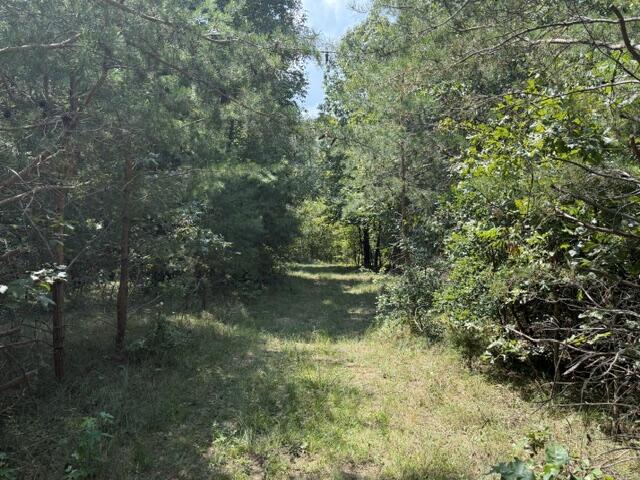 152 County Road 971 Property Photo 19