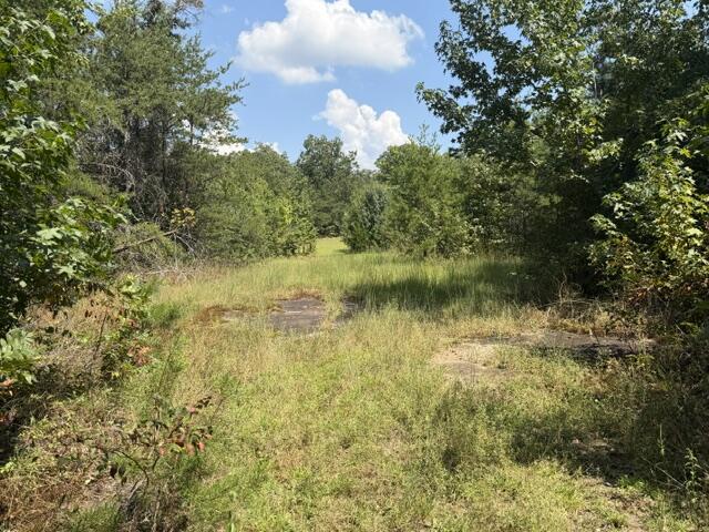 152 County Road 971 Property Photo 20