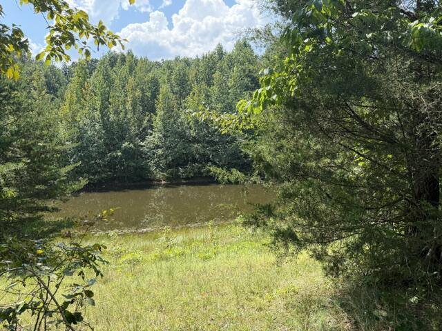 152 County Road 971 Property Photo 21