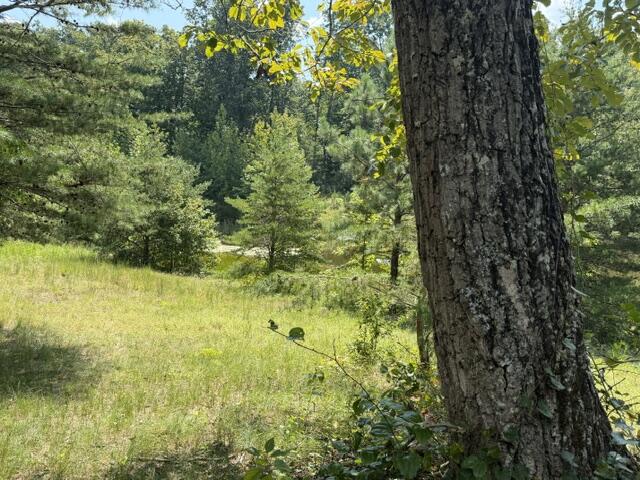 152 County Road 971 Property Photo 22