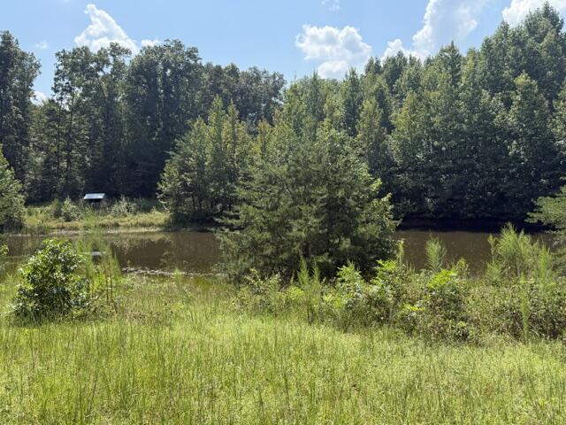 152 County Road 971 Property Photo 23