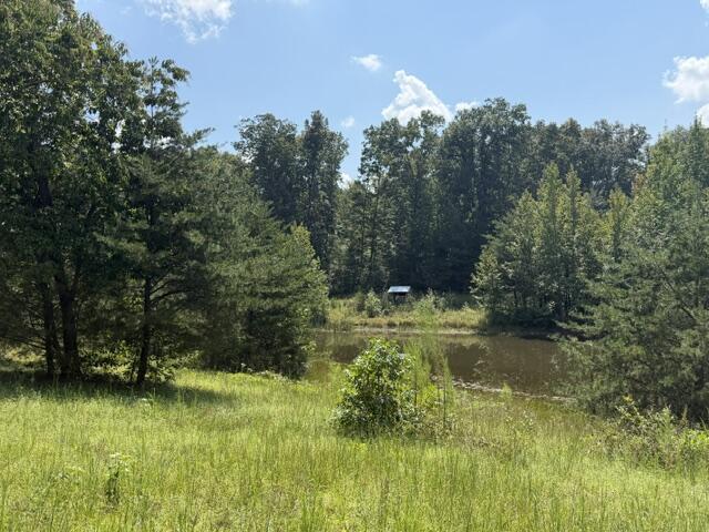 152 County Road 971 Property Photo 25
