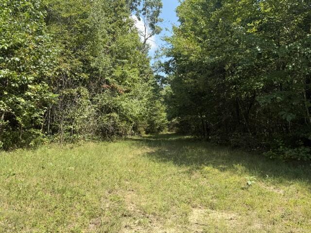 152 County Road 971 Property Photo 26