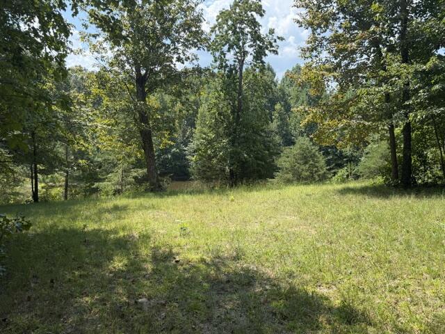 152 County Road 971 Property Photo 27