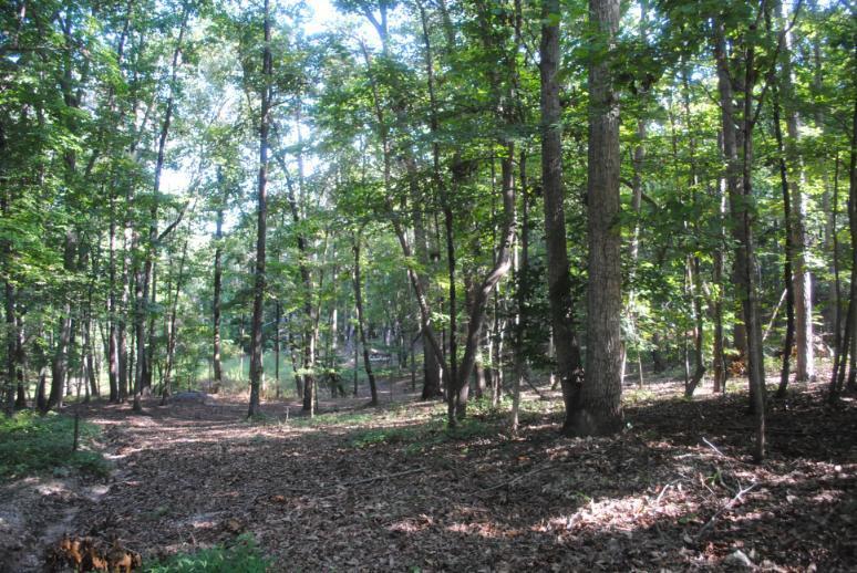 249 N Ridge Drive Property Photo 1