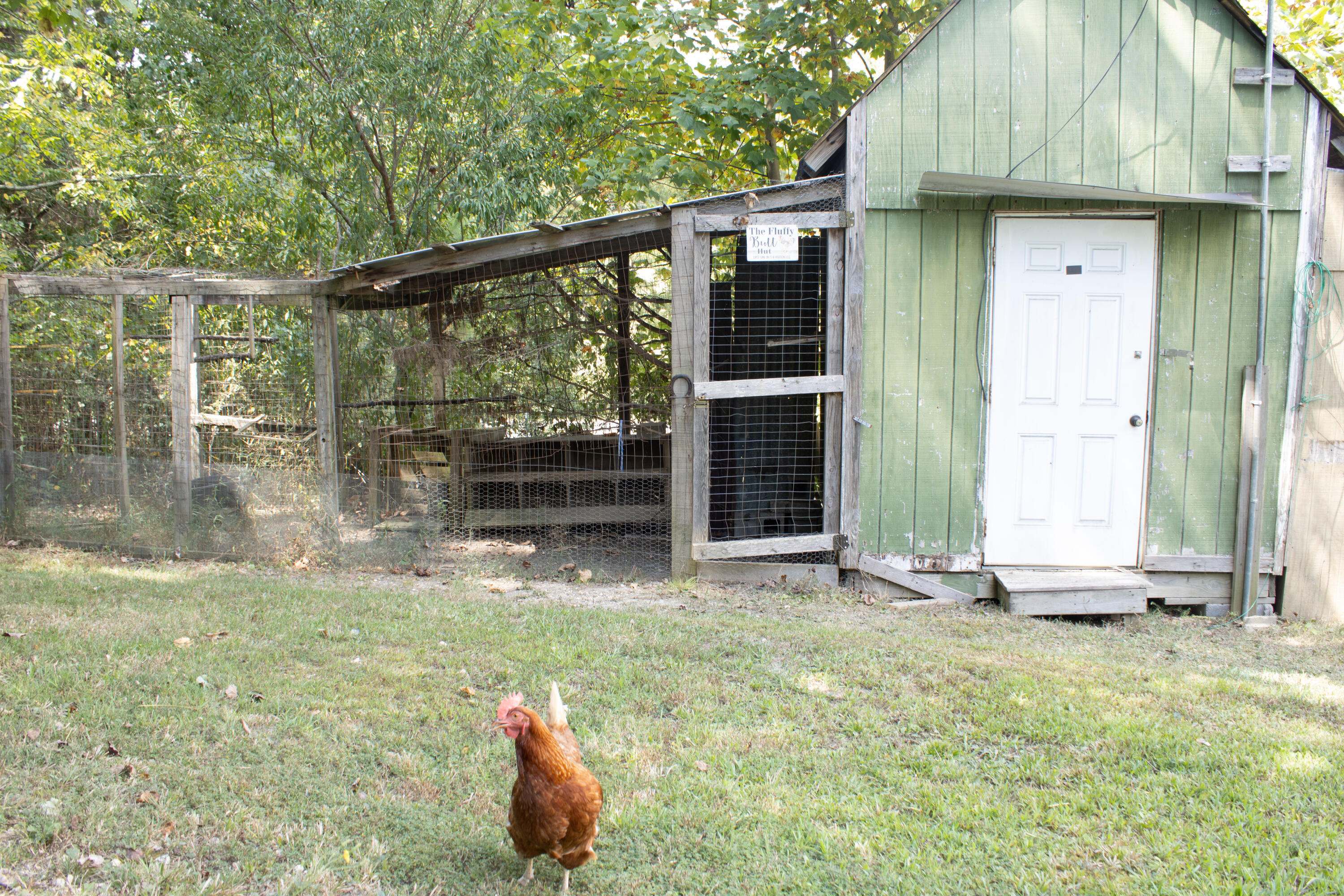 1307 Ridgeway Road Property Photo 27