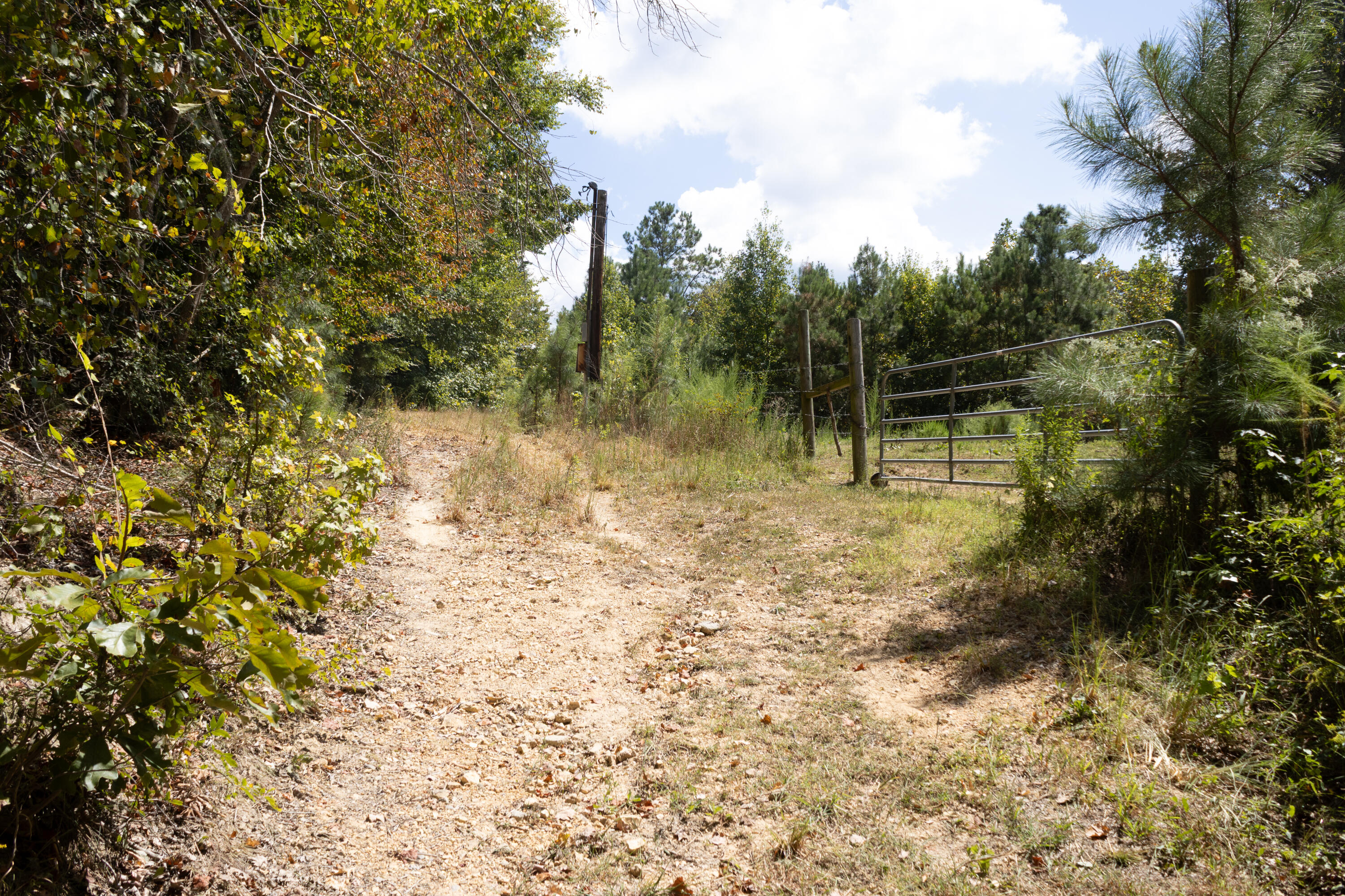 1307 Ridgeway Road Property Photo 30