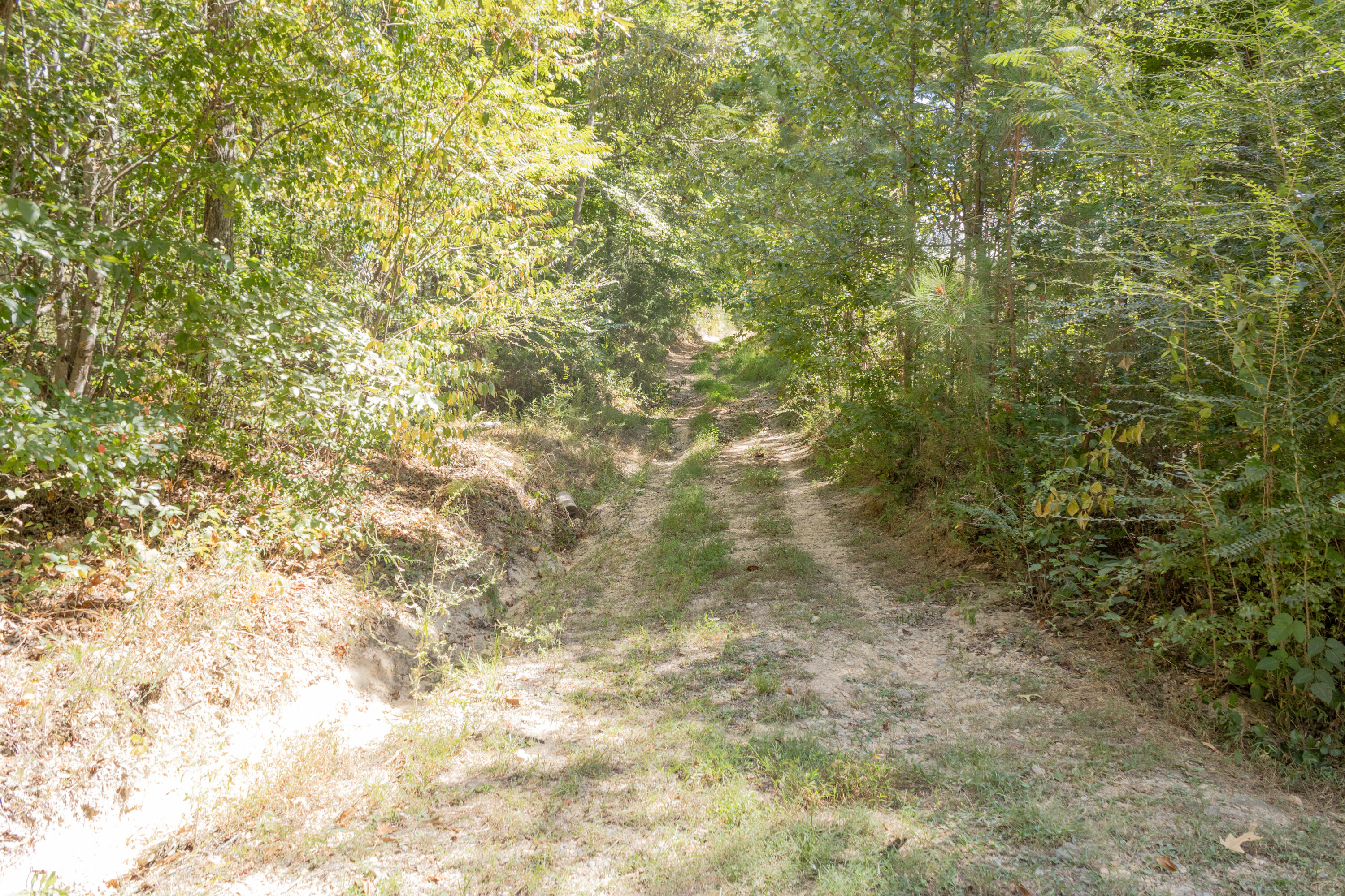 1307 Ridgeway Road Property Photo 31