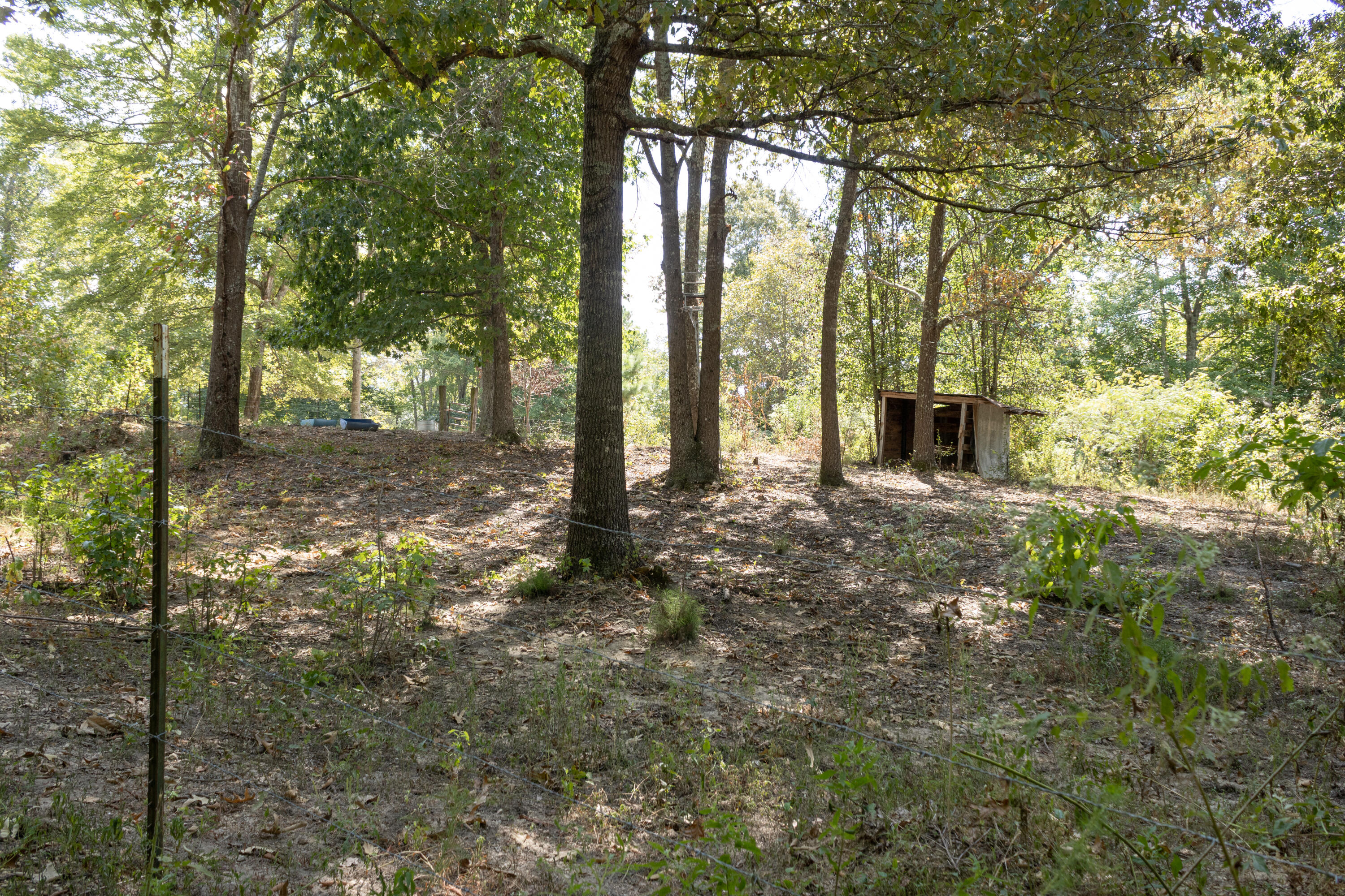 1307 Ridgeway Road Property Photo 32