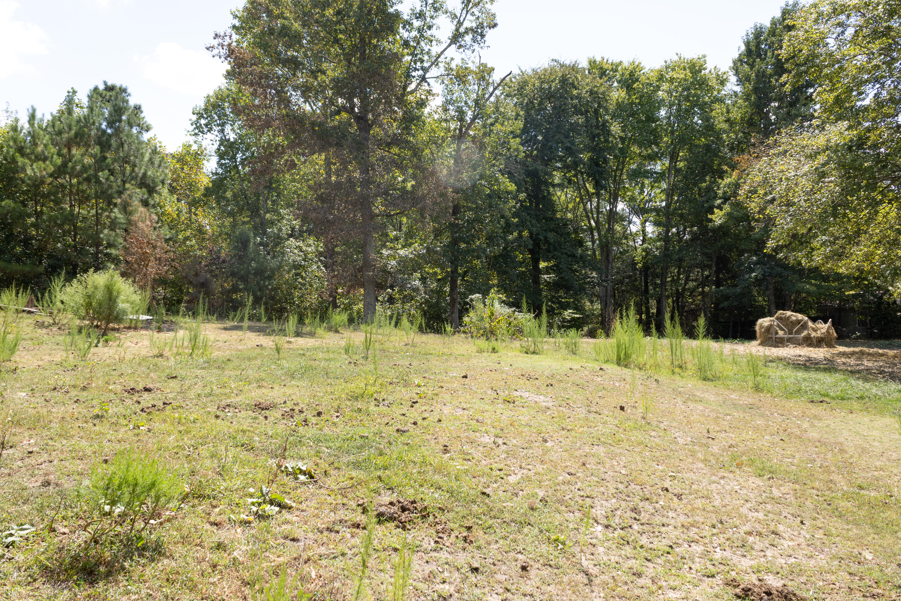 1307 Ridgeway Road Property Photo 33