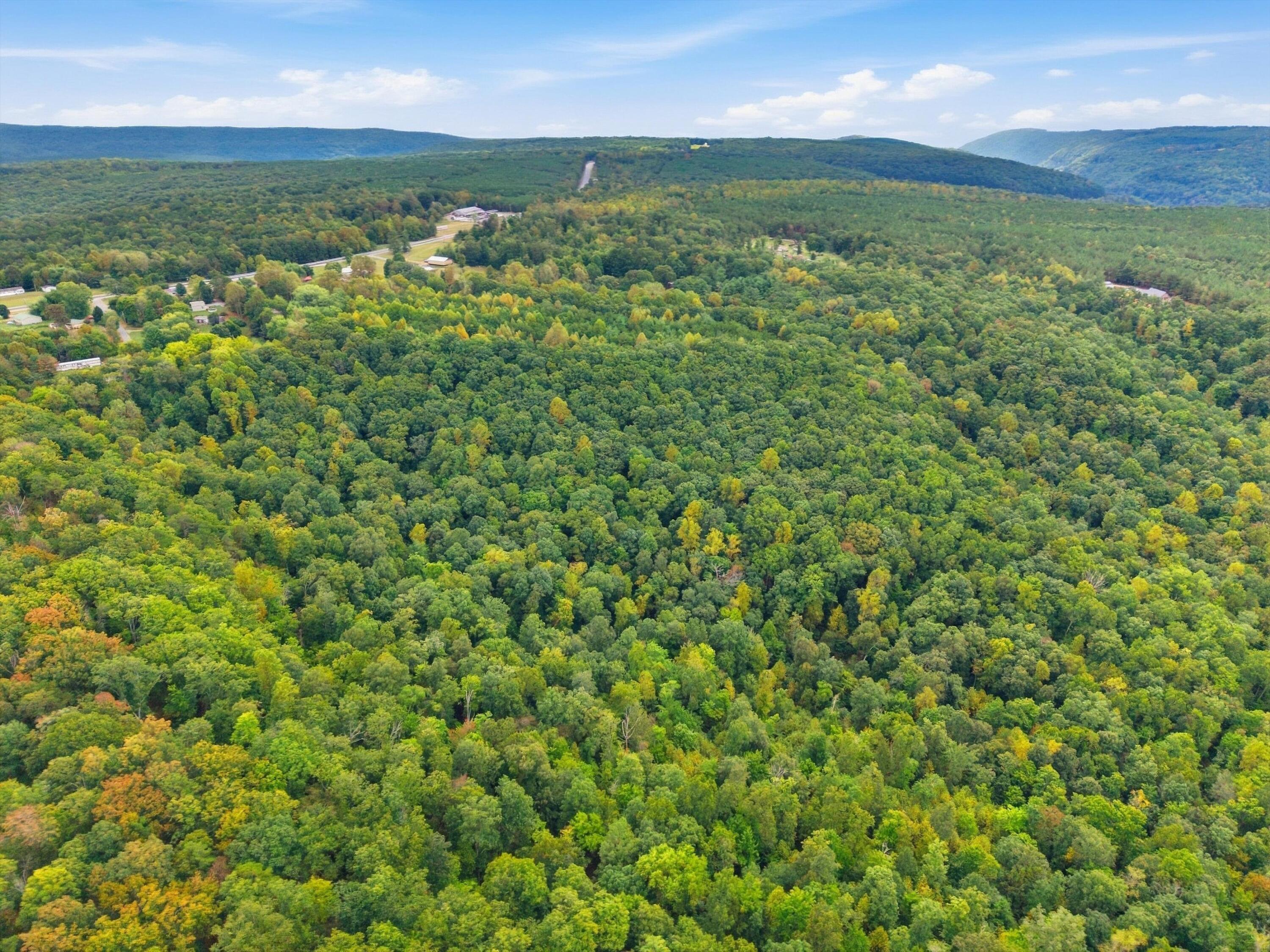 175 Teeters Loop Road Property Photo 32