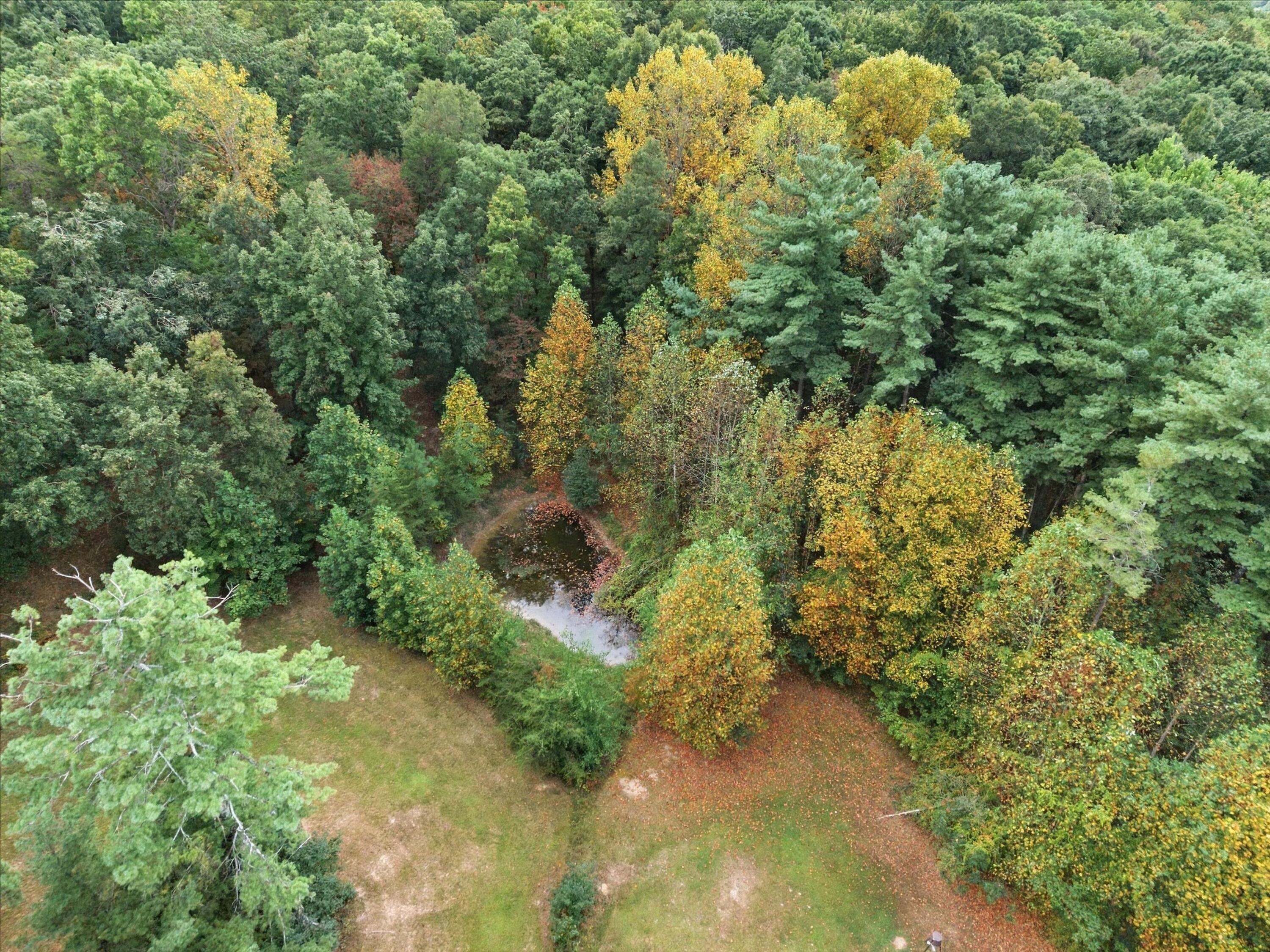 175 Teeters Loop Road Property Photo 34