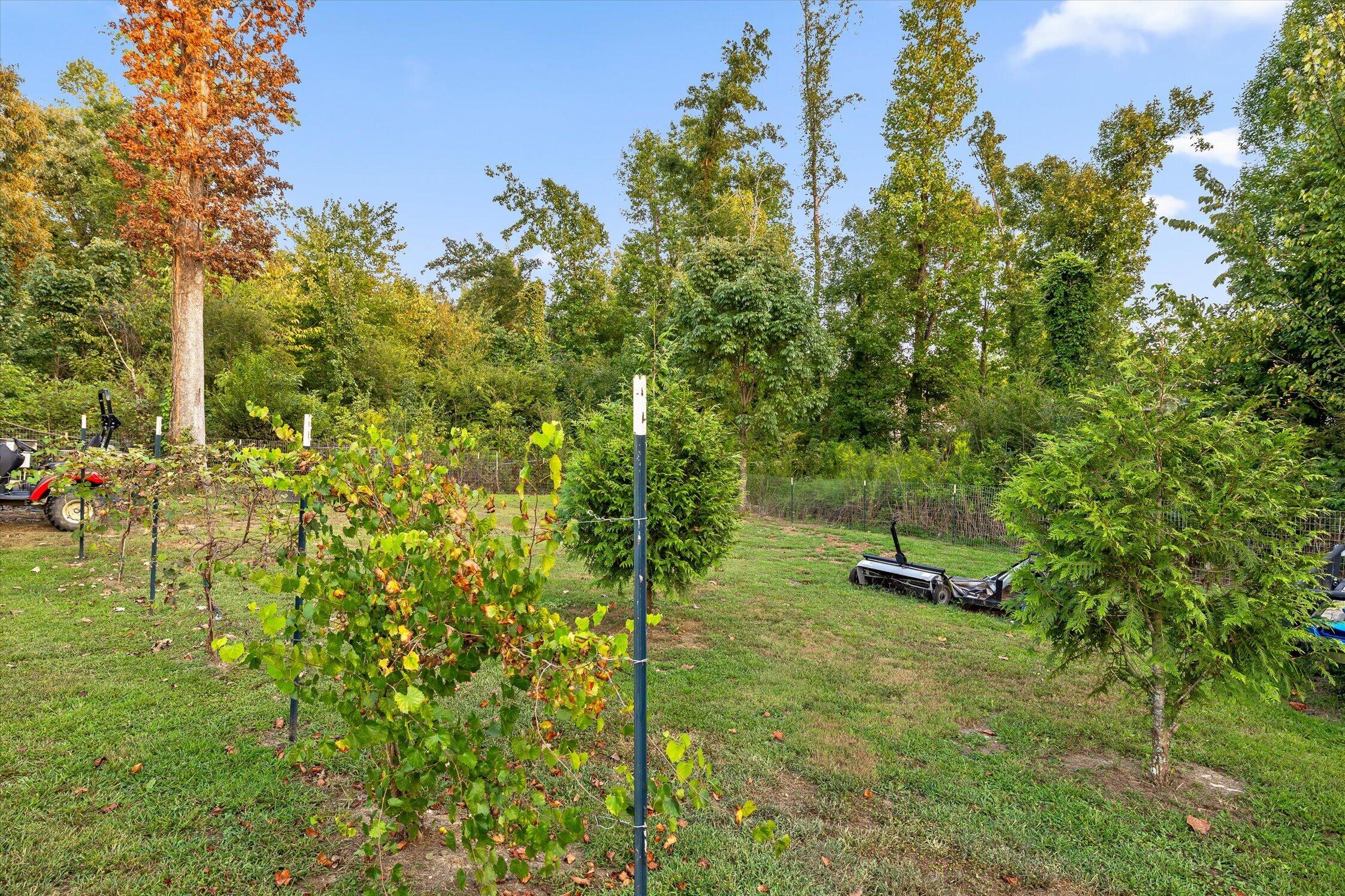 8168 Pinecrest Drive Property Photo 62