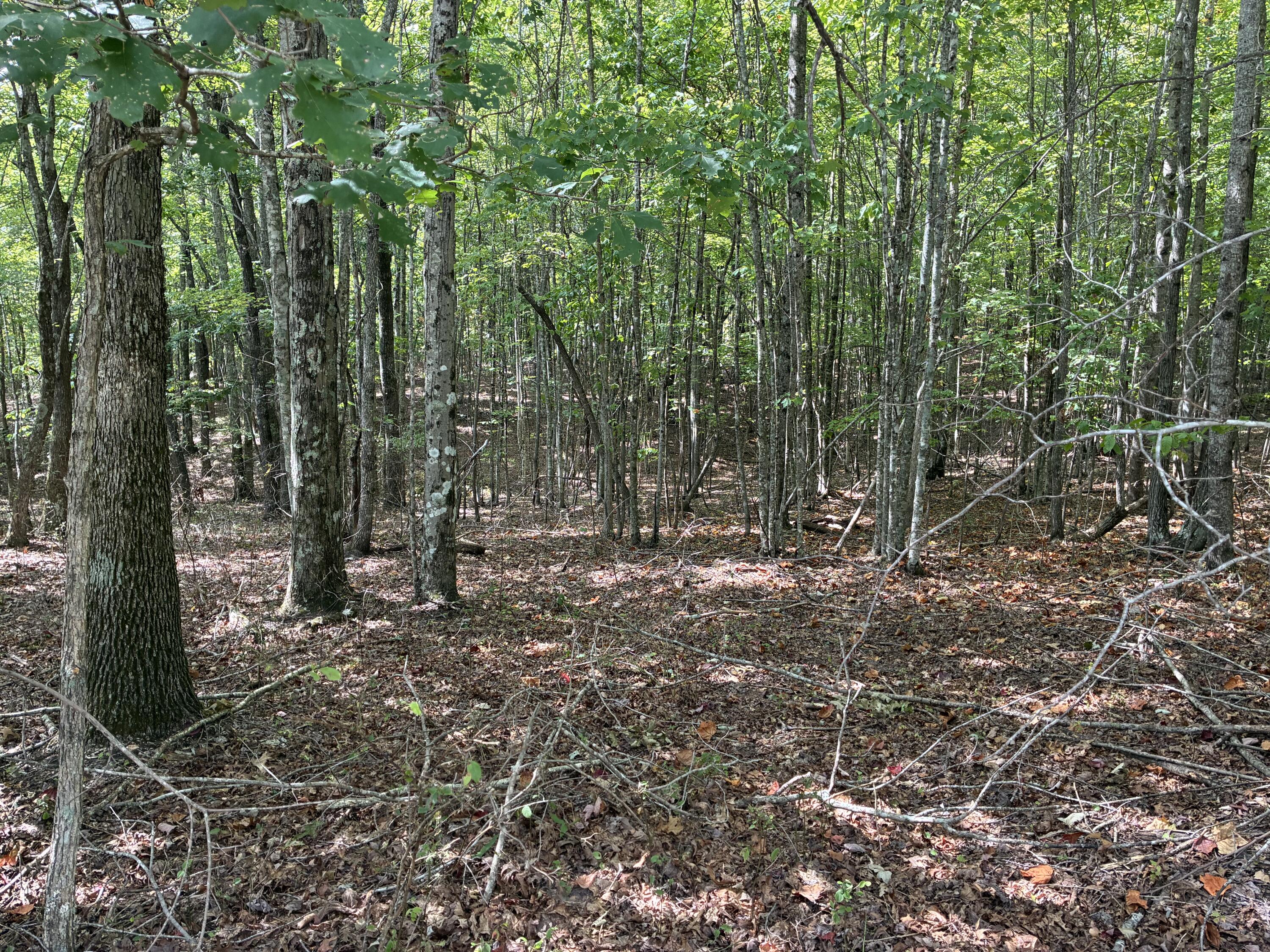 0 2 Lake Trail Property Photo 1