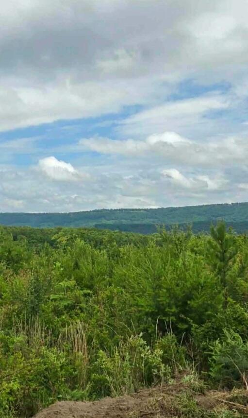 Lot 1 Bethel Road