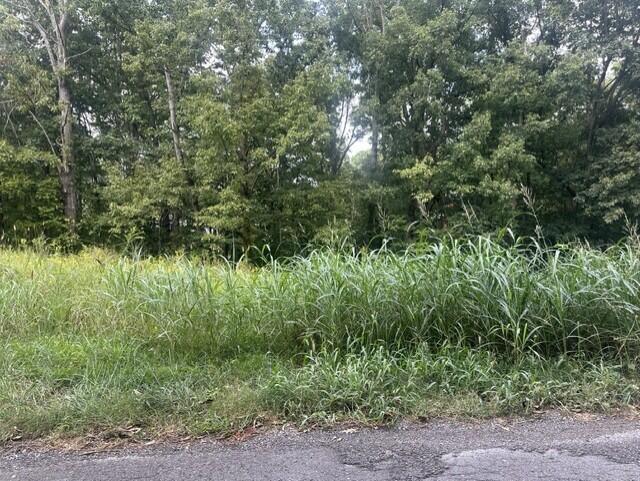 0 Ridge North