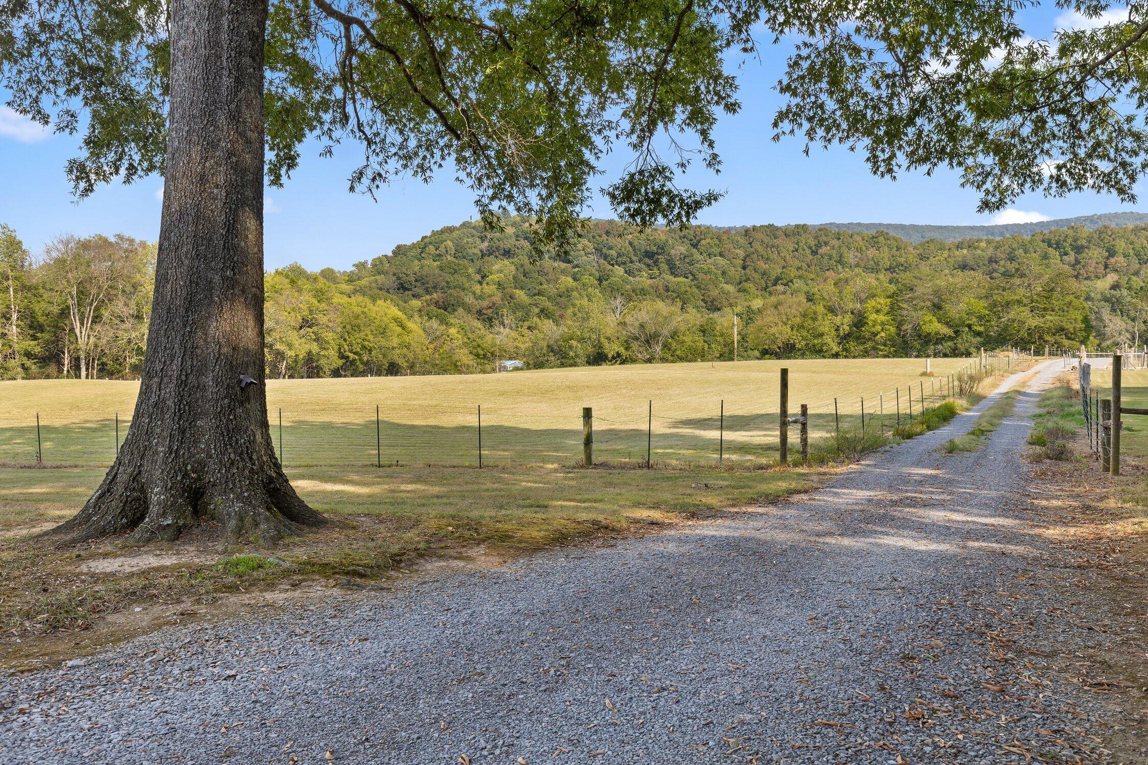 254 Cdl Trail Property Photo 85