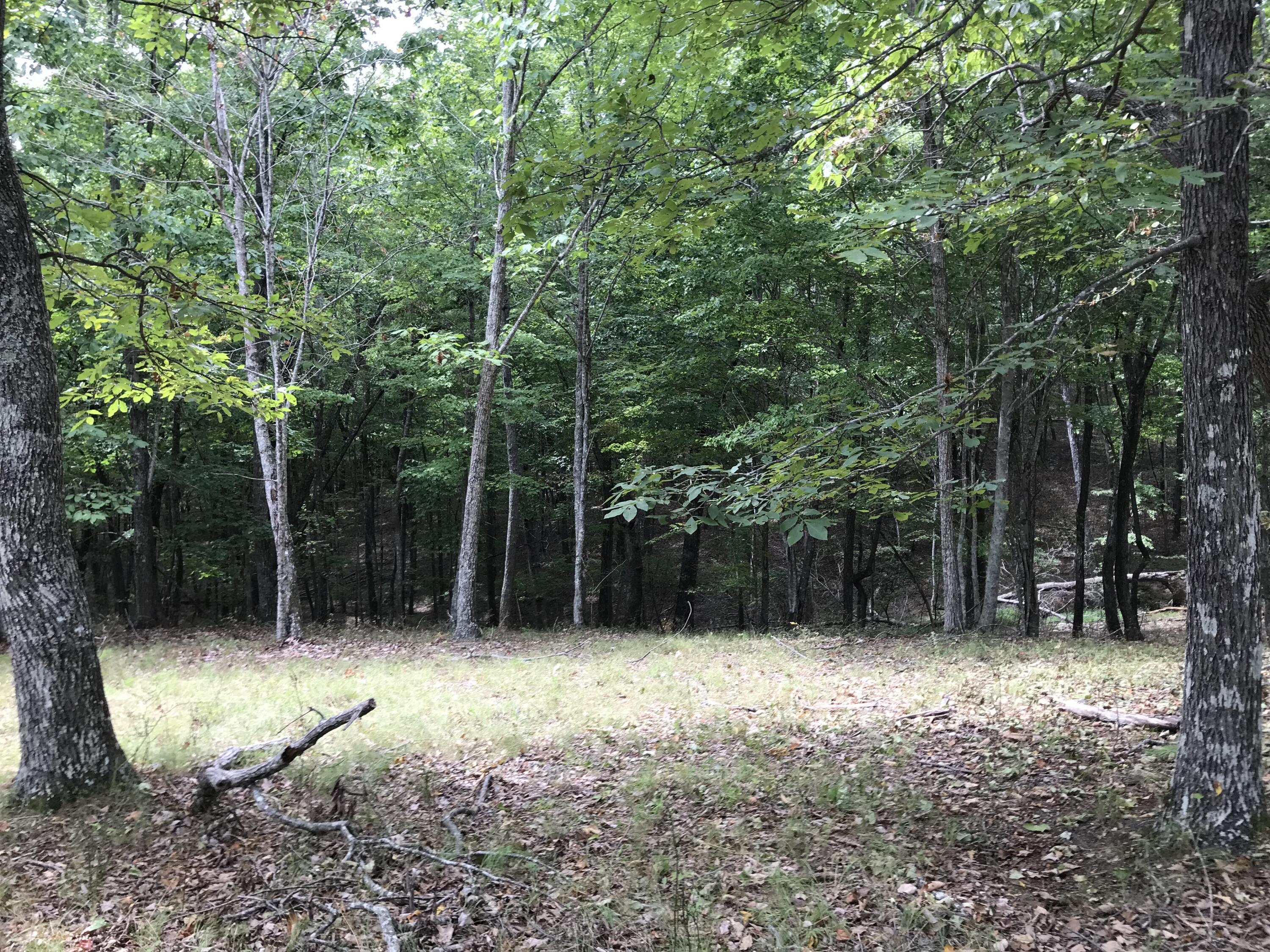 103-b Bluffview Drive Property Photo 1